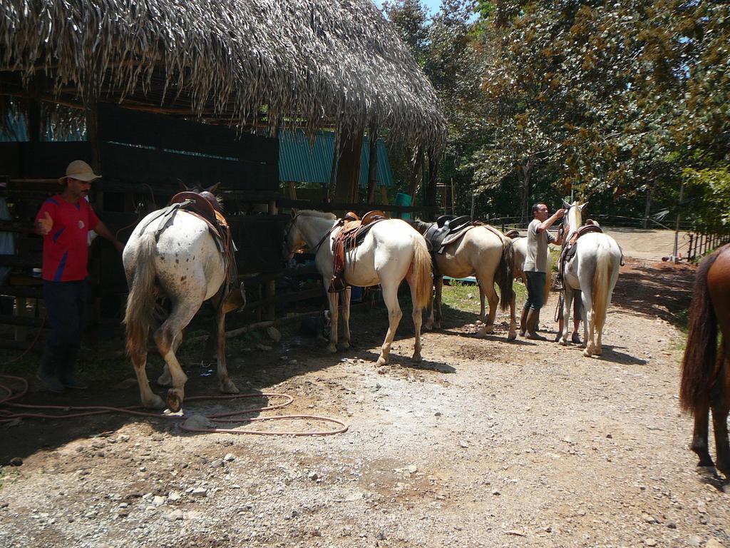 Casas Buenas Brisas Villa Ojochal Rum bild